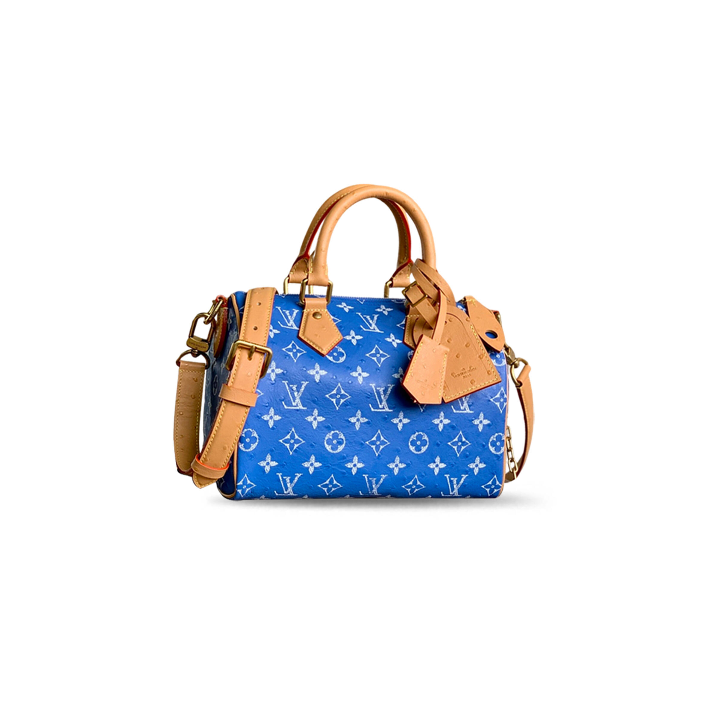 l0vis Vvtt0n speedy p9 bandouliÈre 25 m24437 (25*15*15cm)